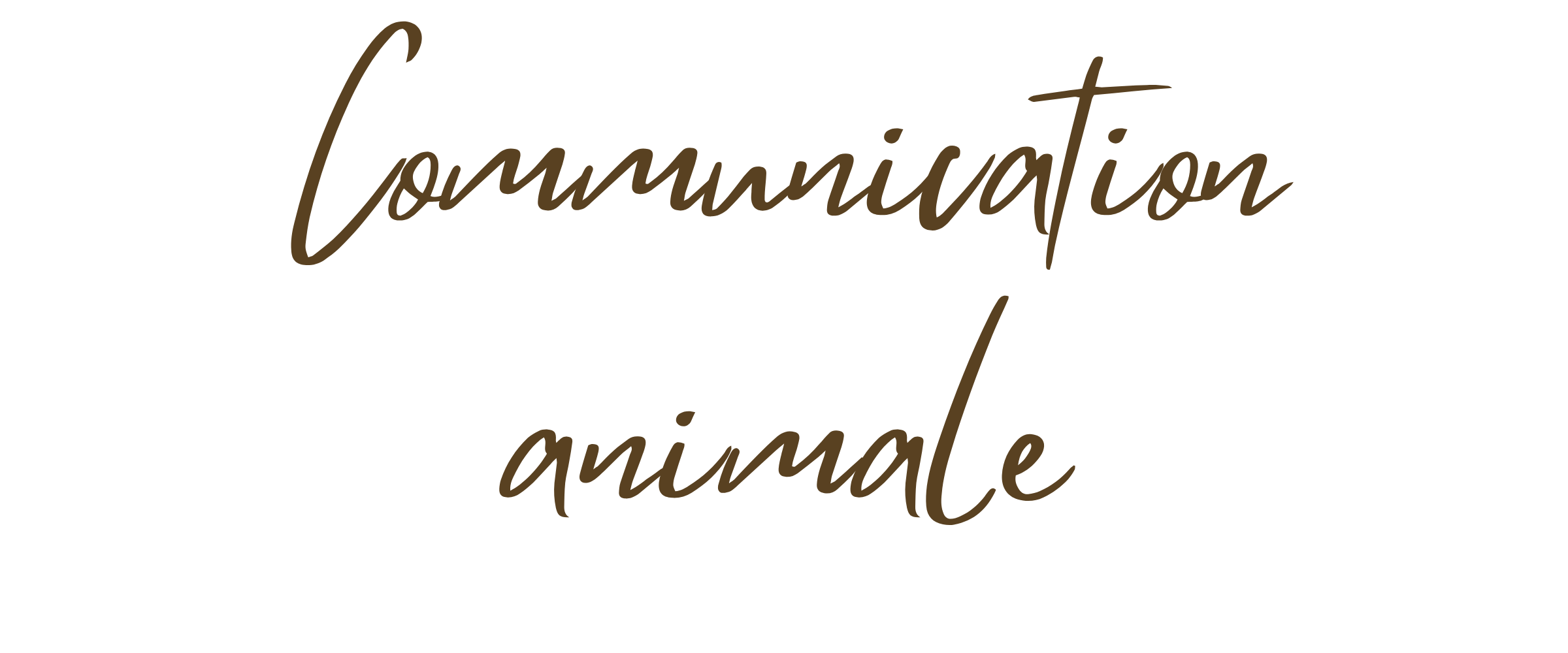 Com-animale-marron