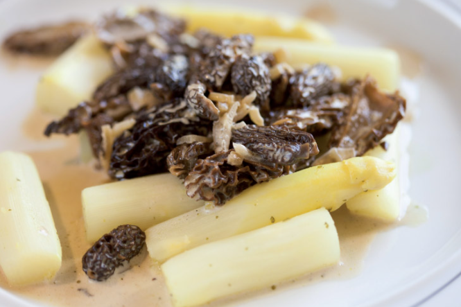 Asperges-morilles