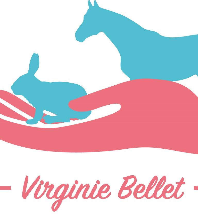 Logo-virginie-bellet