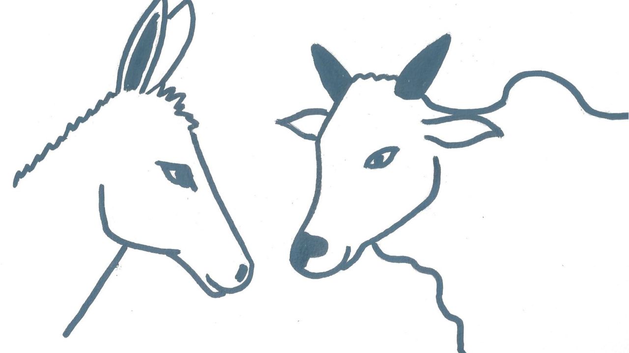 Logo-de-l-ane-au-zebu