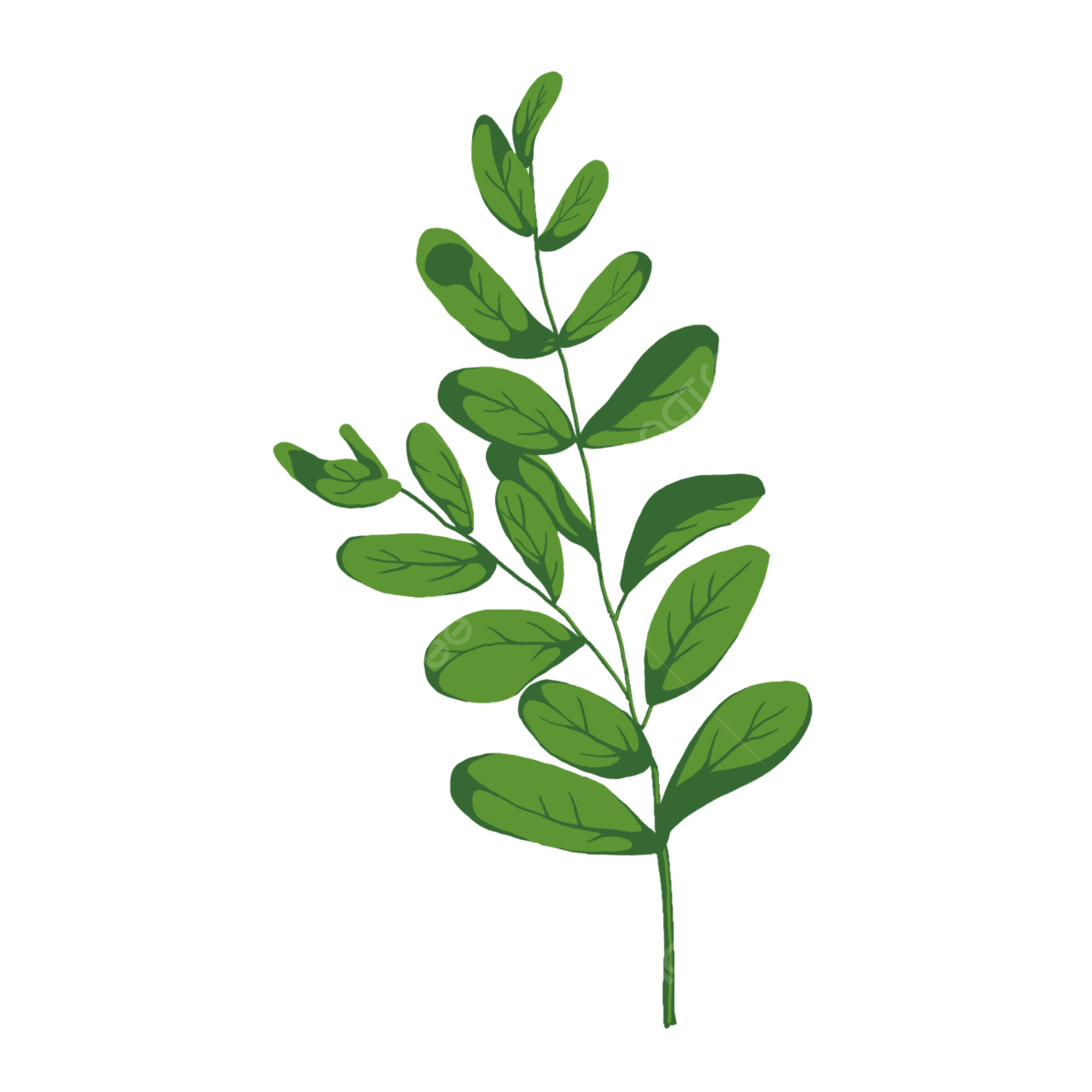 Plante-verte