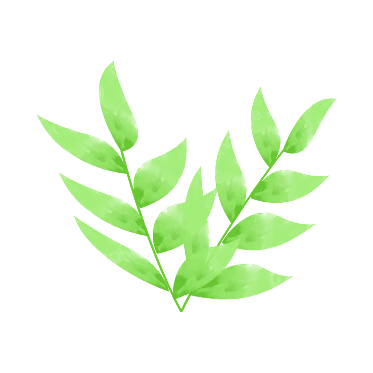 Pngtree-leaves-green-leaves-plant-png-image 13249346