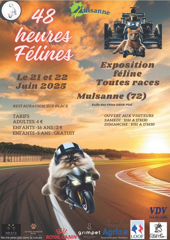Affiche-mulsanne