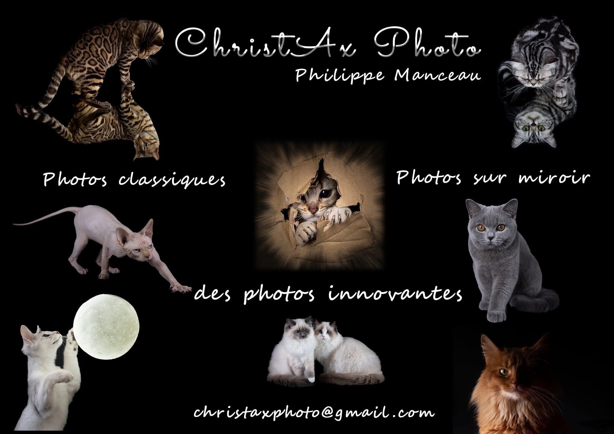 Christax