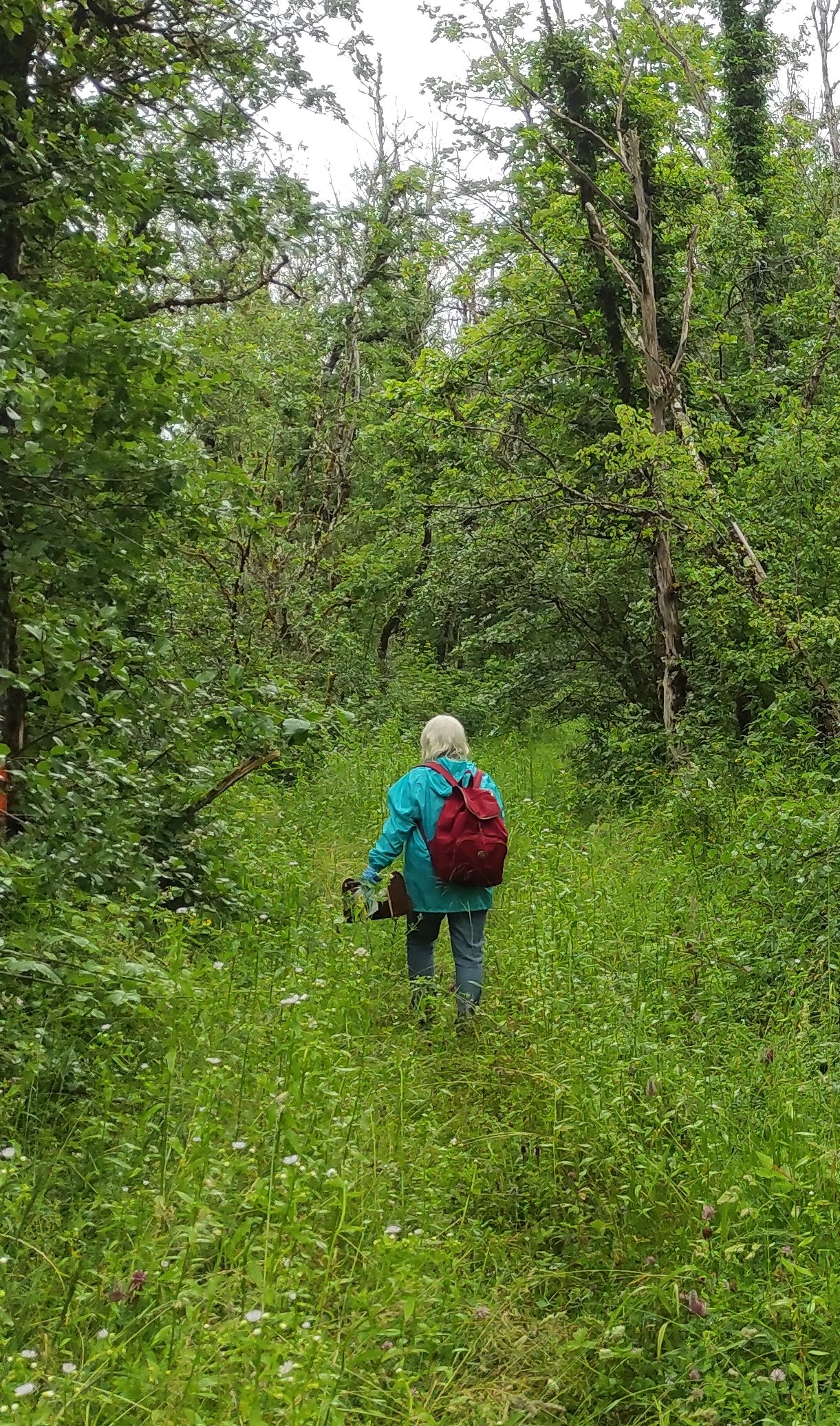 Sentier-de-Randonne-e