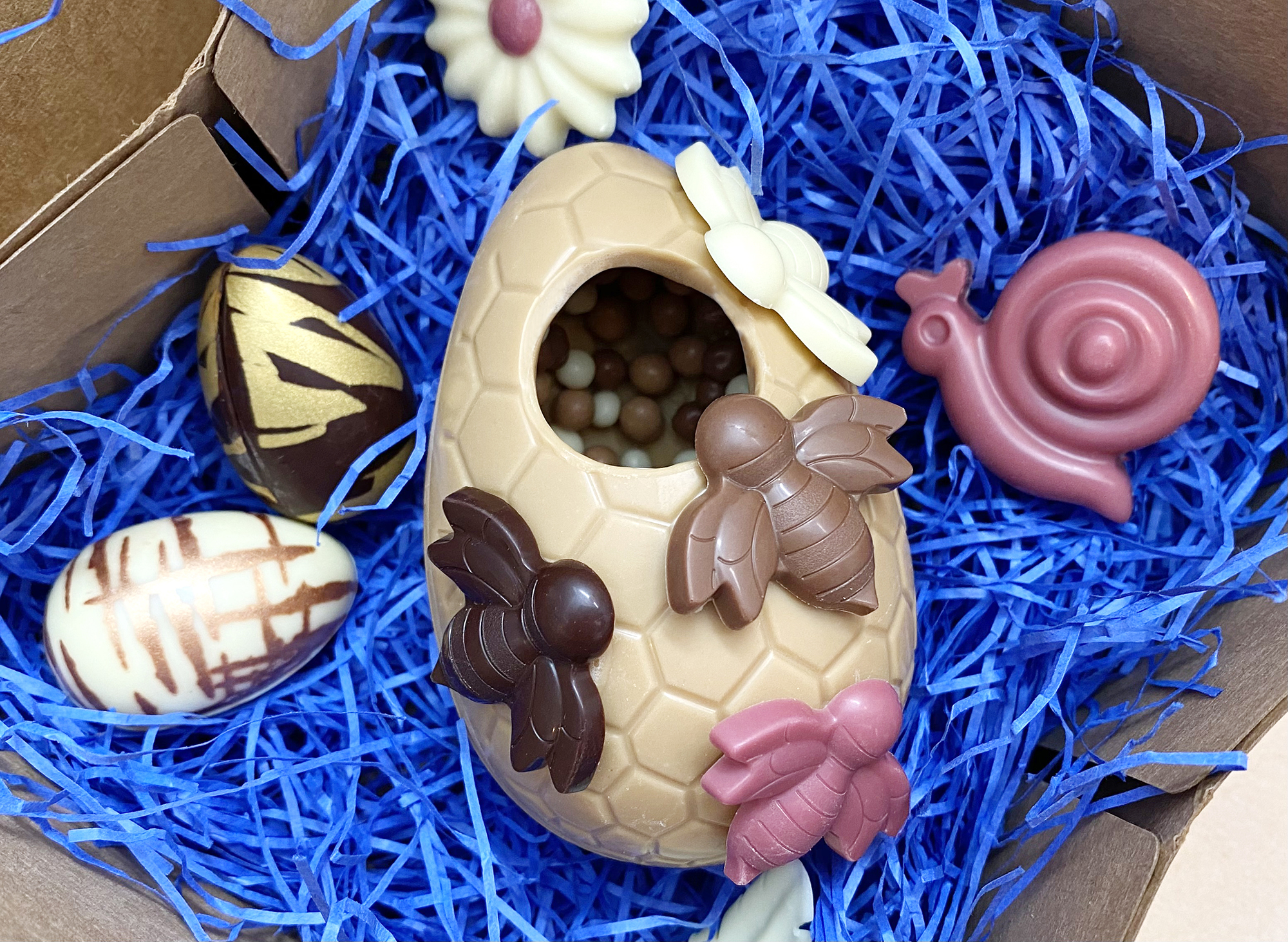 Oeuf-abeille IMG 0910