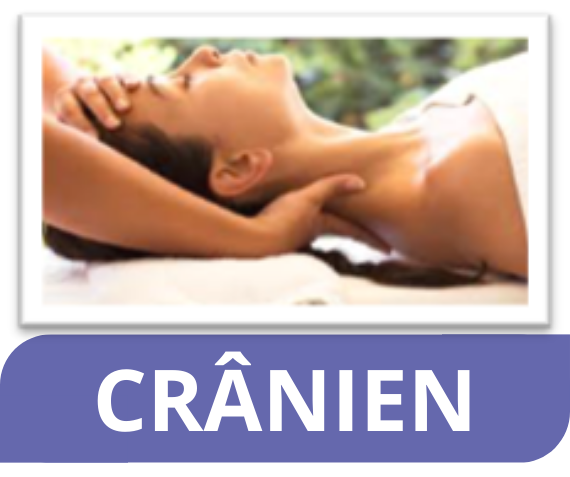 Design-sans-titre-1-