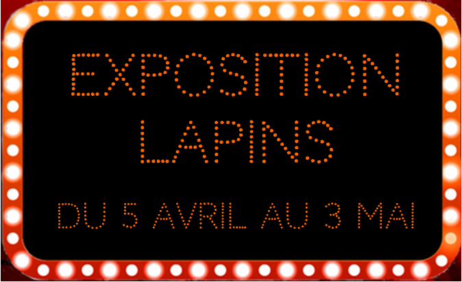 Texte expo