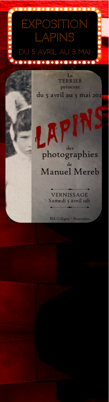 Expo mobile vert
