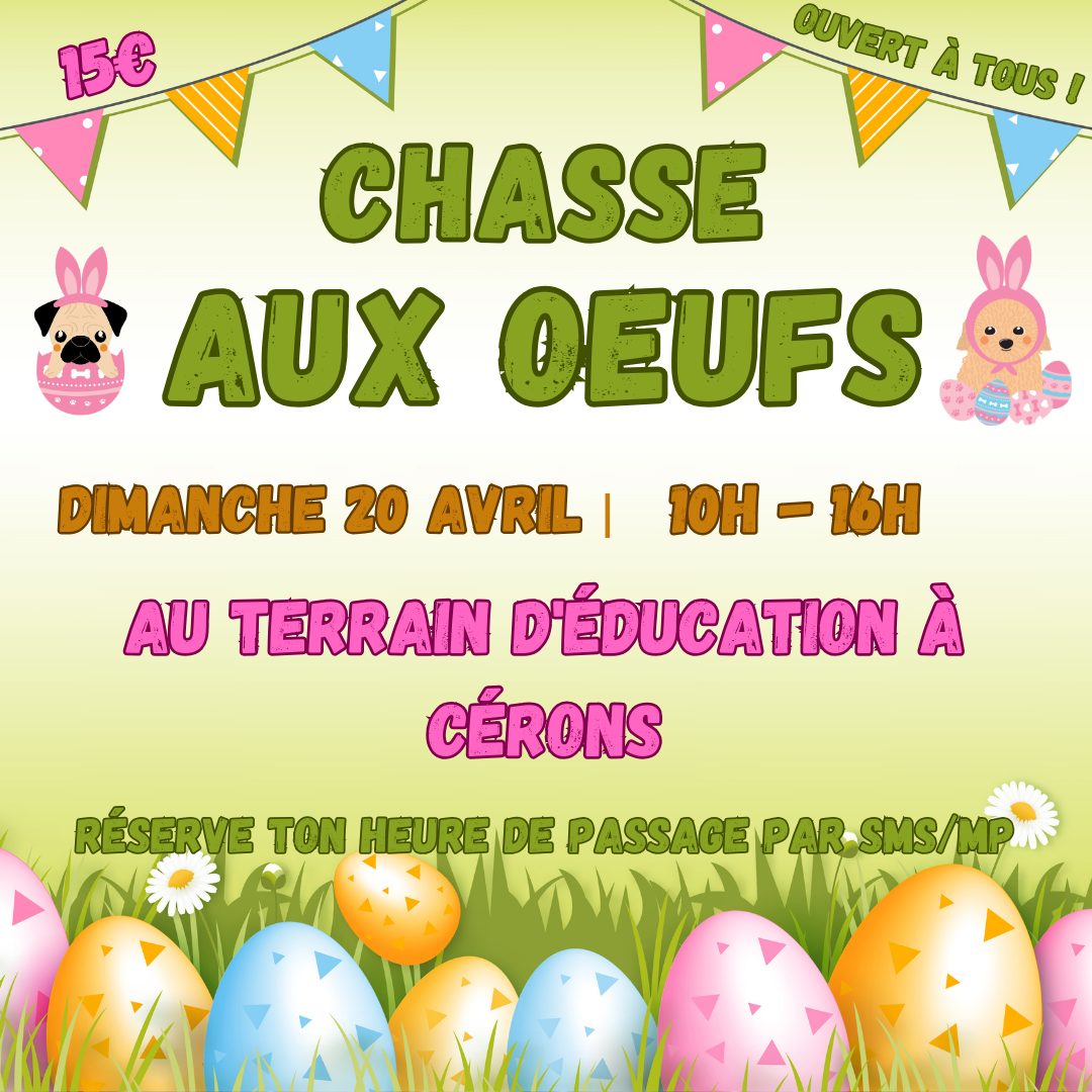 La chasse aux oeufs !