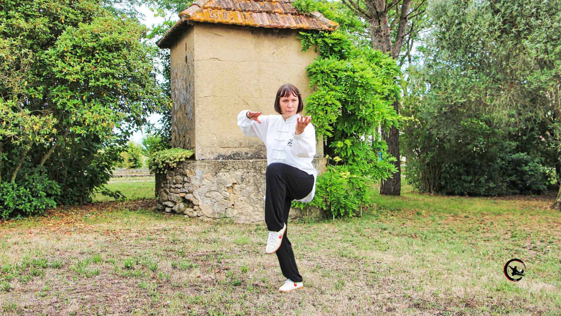 Pourquoi se former en continu est essentiel pour un(e) enseignant(e) de Tai Chi et Qi Gong