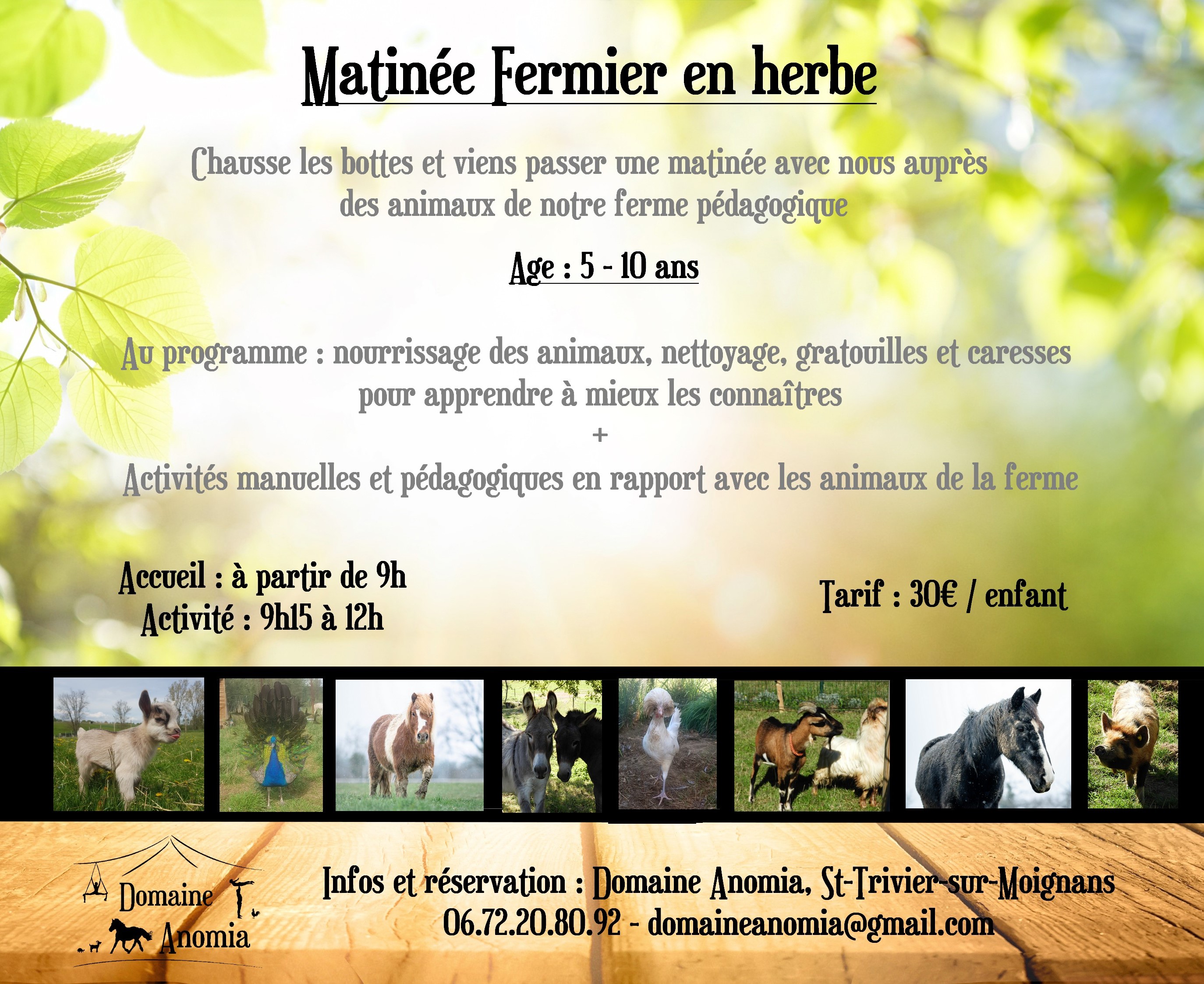 Fly-stage-ferme-web