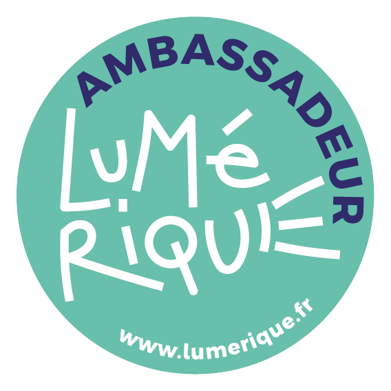Logo Ambassadeur Lumérique