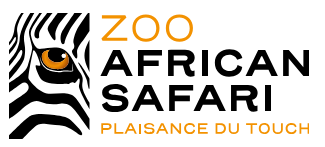 Zoo-safari