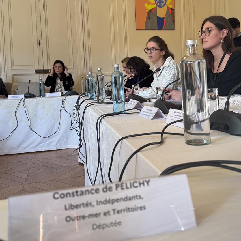 VIOLENCES SEXISTES ET SEXUELLES