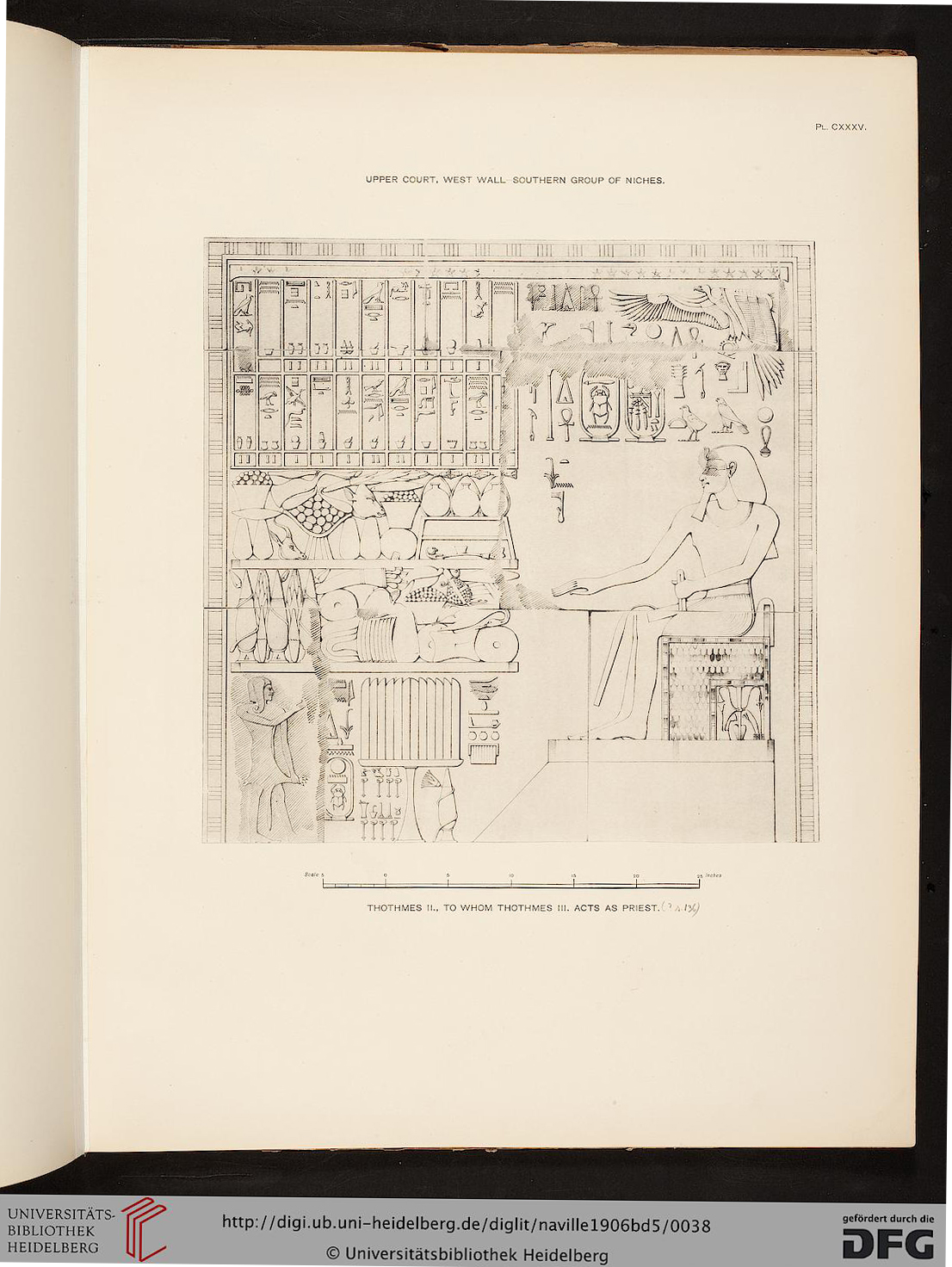 Fig. 1 : Scène d’une niche du temple d’Hatchepsout à Deir el-Bahari représentant Thoutmosis II devant une table d’offrandes et des listes d’offrandes.