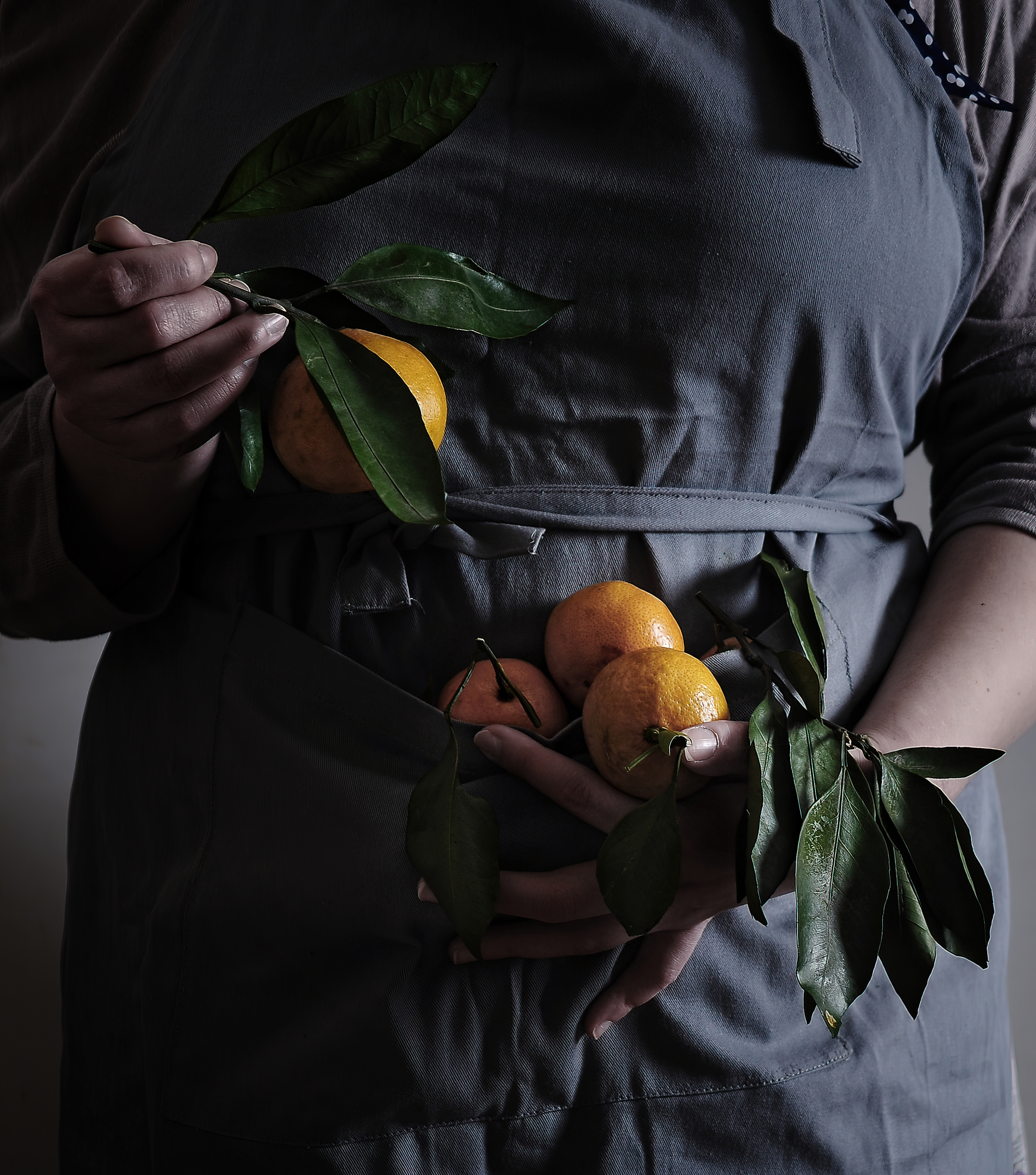 Woman gray apron holds orange tangerines with leaves her hands