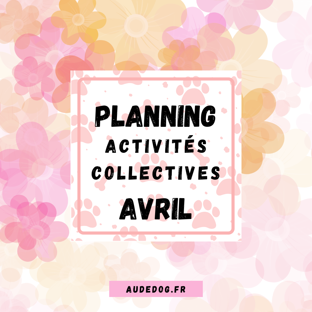 Planning des activités collective d'Avril