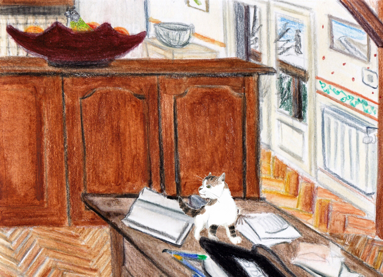 à la poursuite d'un (stupide) perroquet avec Tanny le chaton