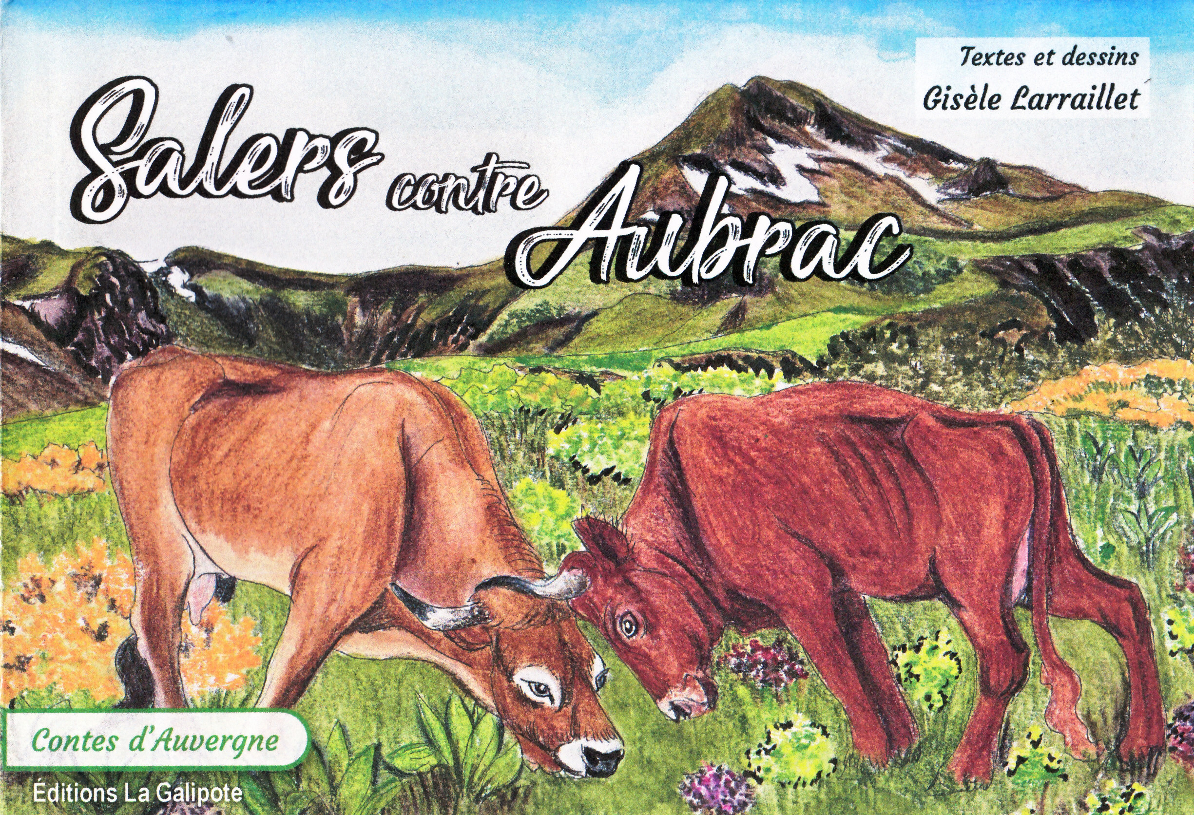 Salers contre Aubrac