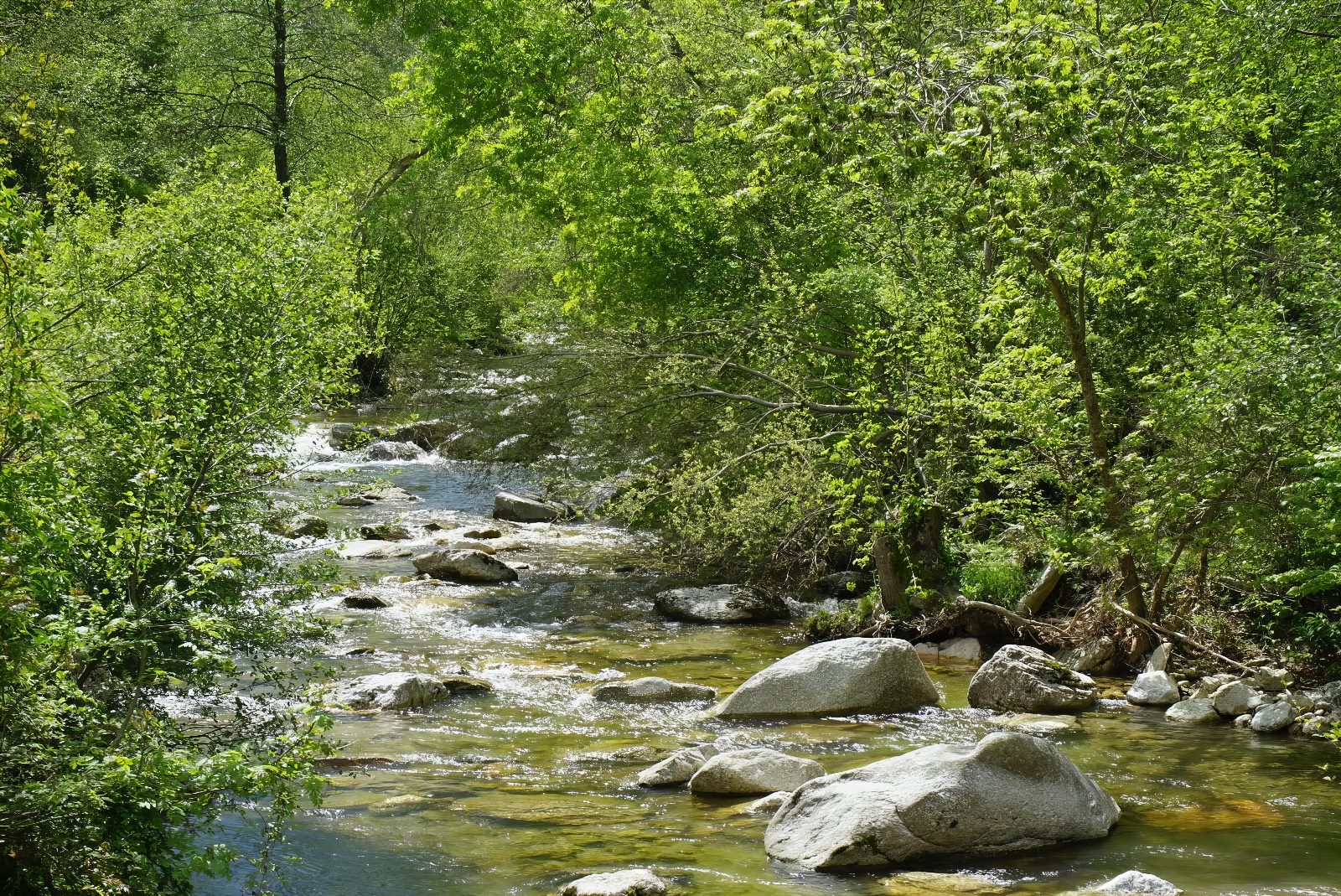 WhatsApp-Image-2025-03-28-at-16-48-49