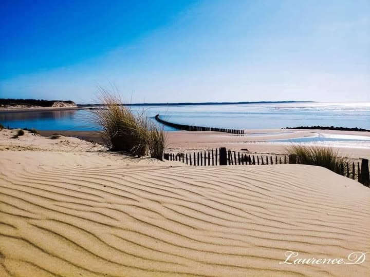Laurence-d-photographie