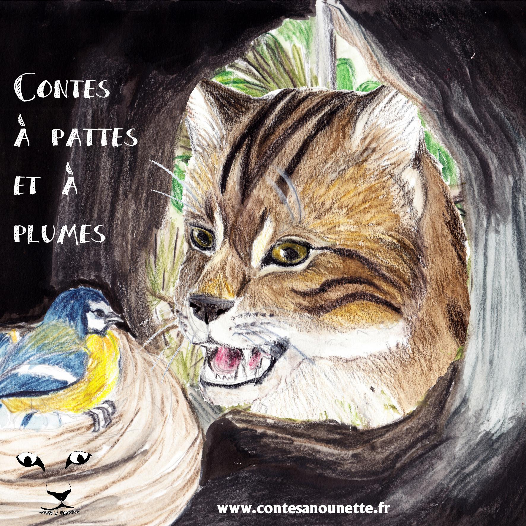 Contes a pattes et a plumes page001
