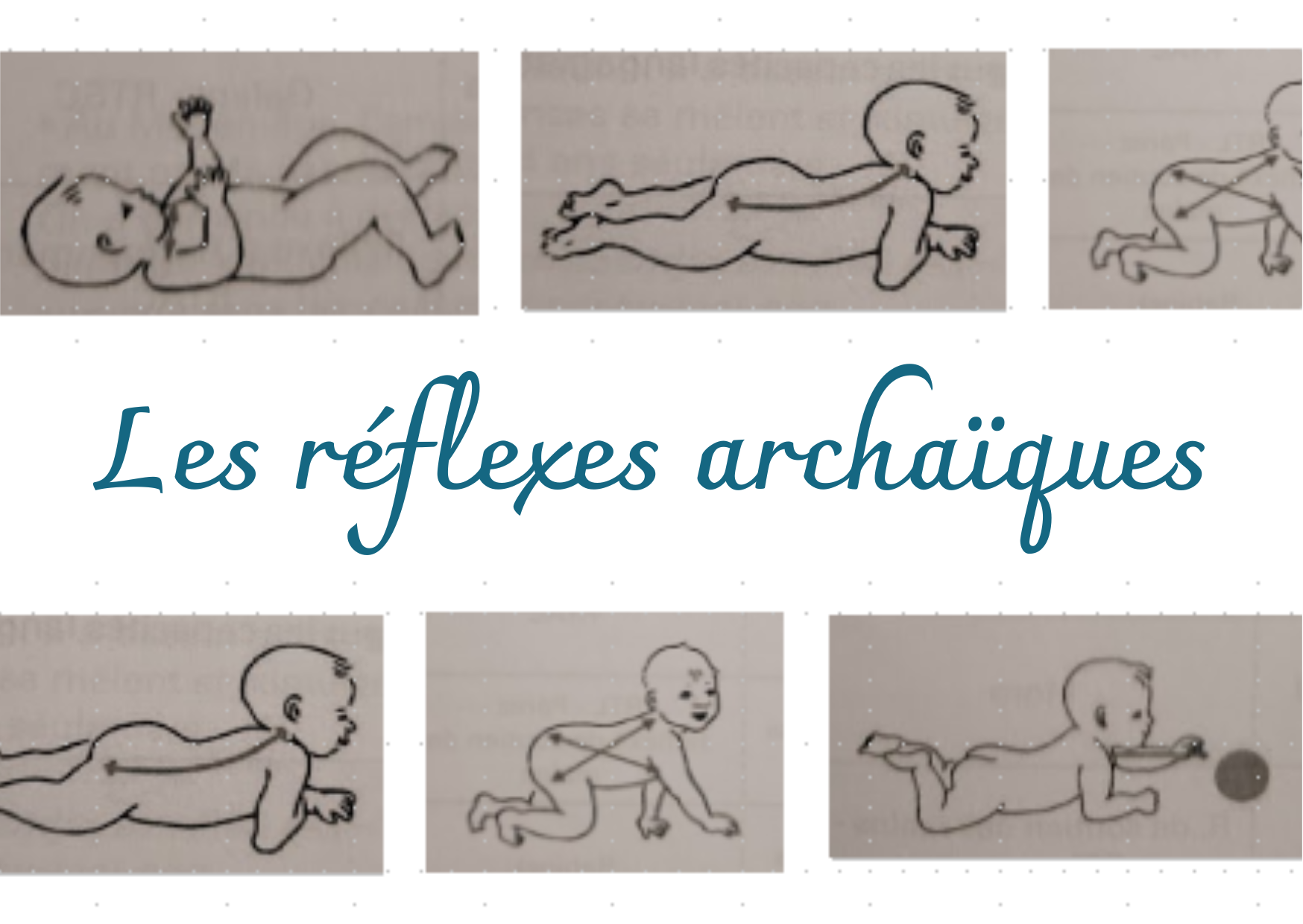 Les réflexes archaïques