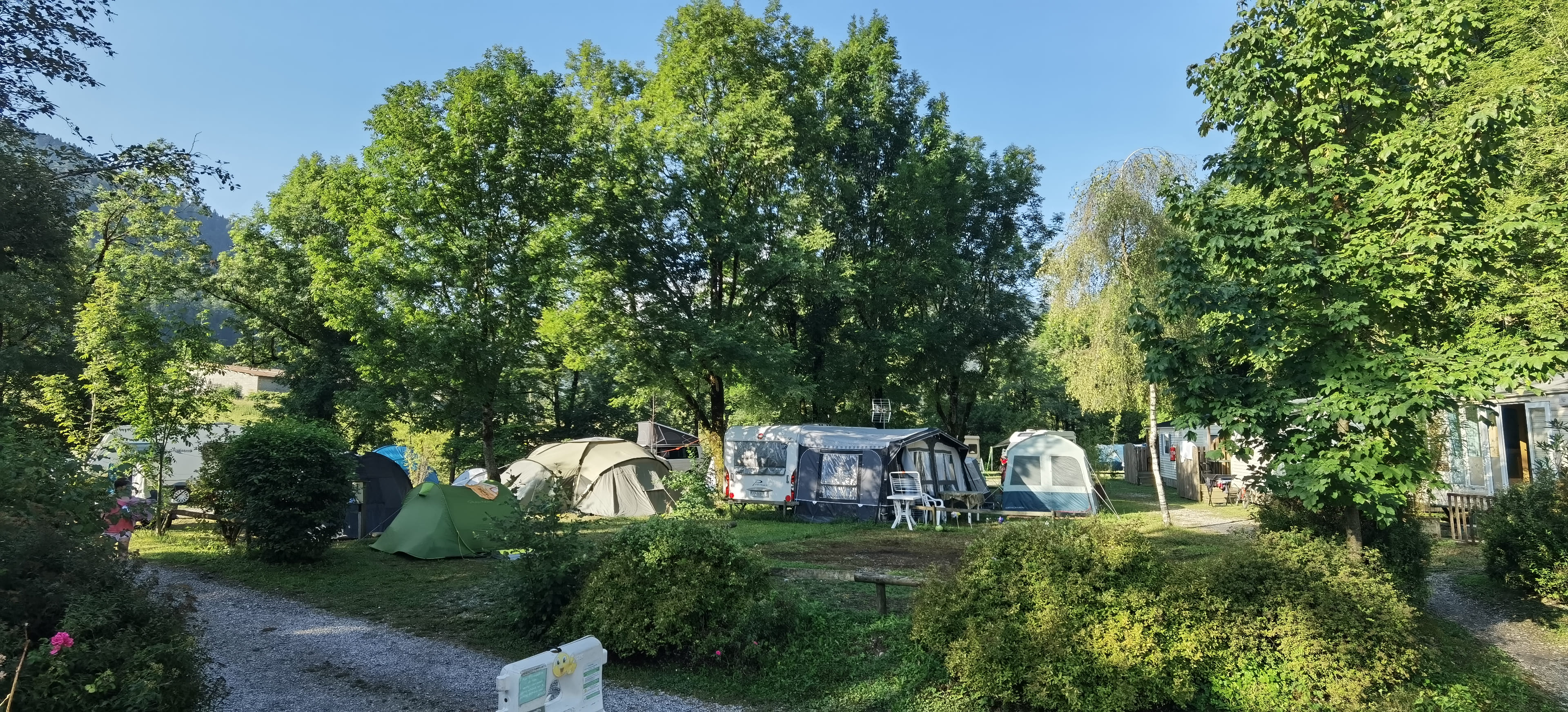 Img 20240816 085124