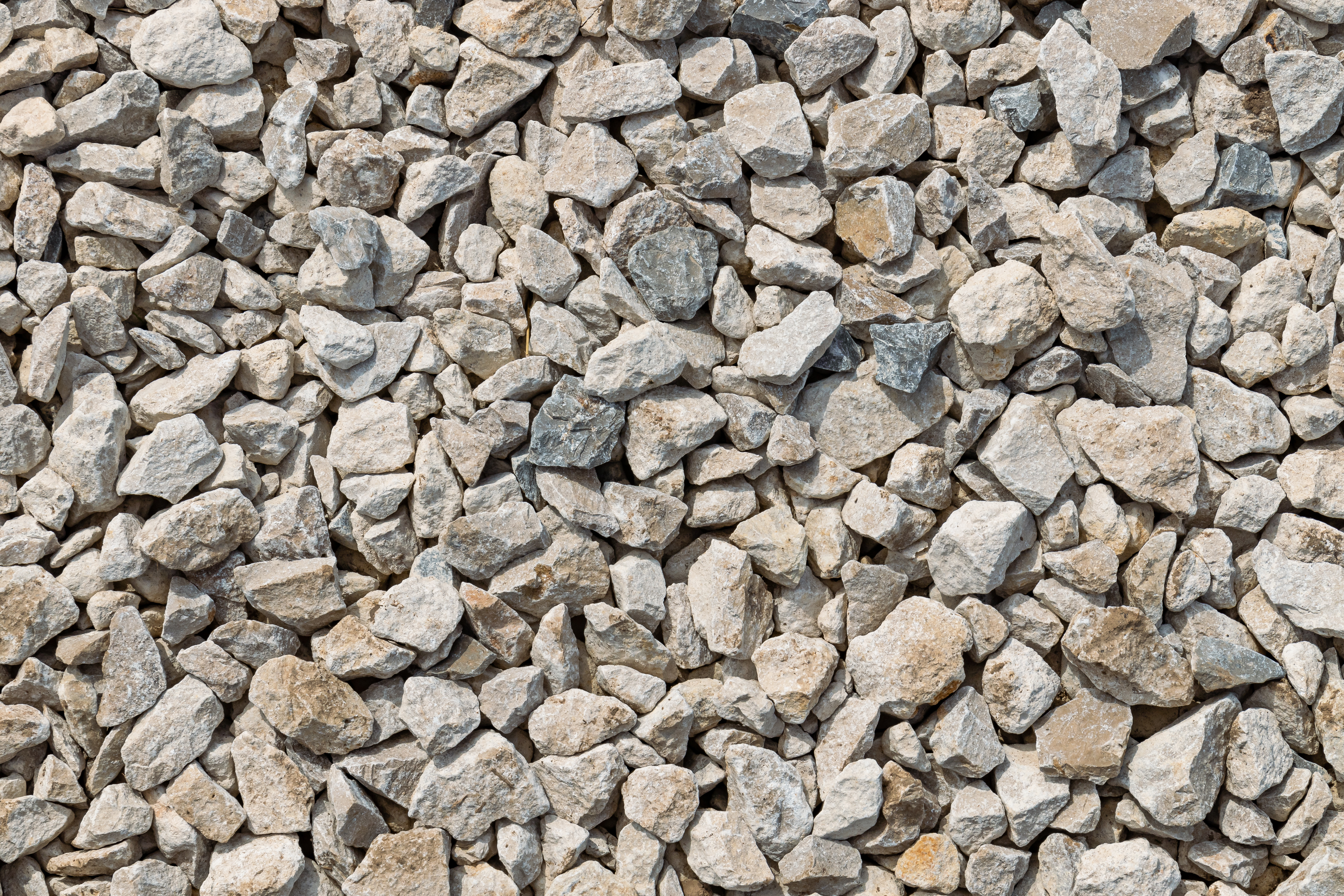 Adobestock 1218341741