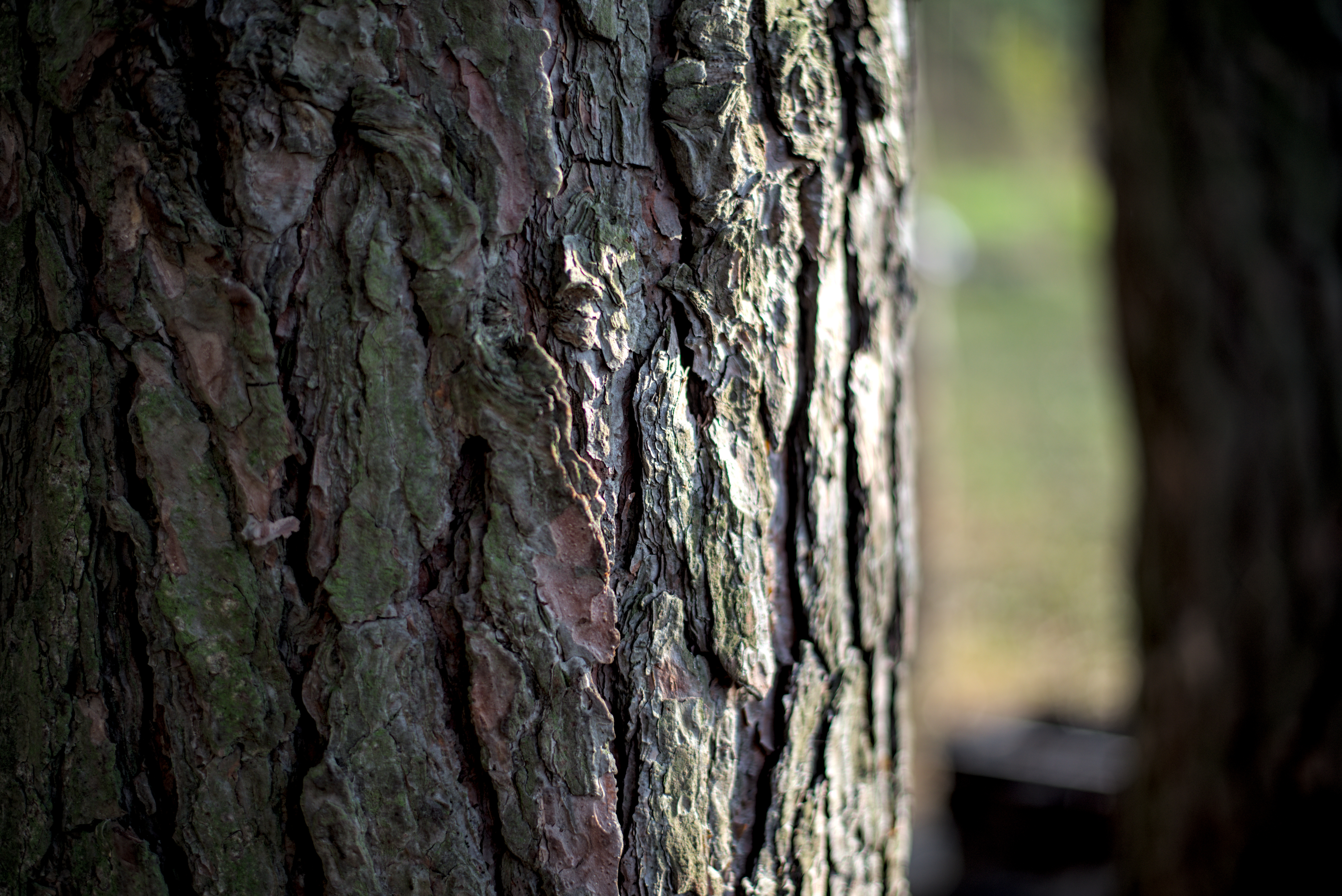 Adobestock 1121397468