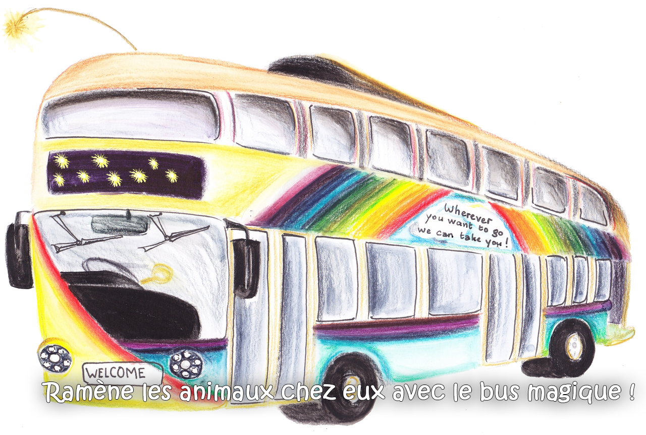 Le bus magique