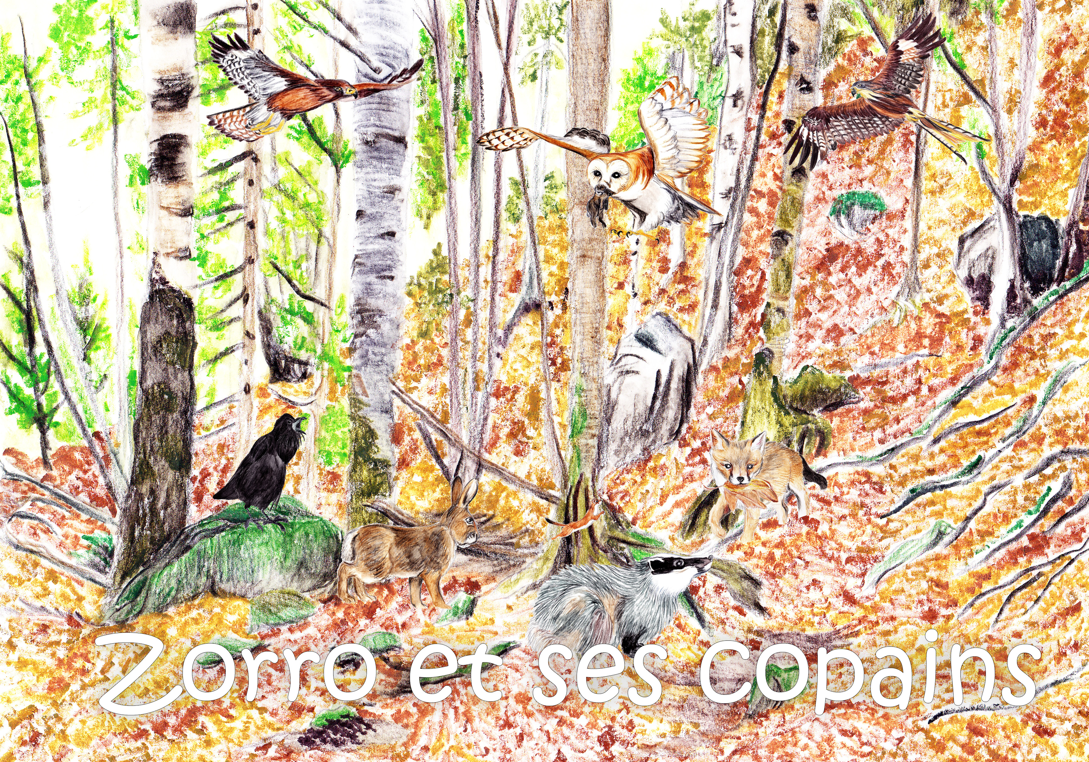 Zorro et ses copains