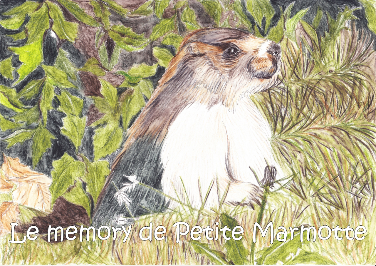 Petite marmotte
