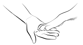 Image-main