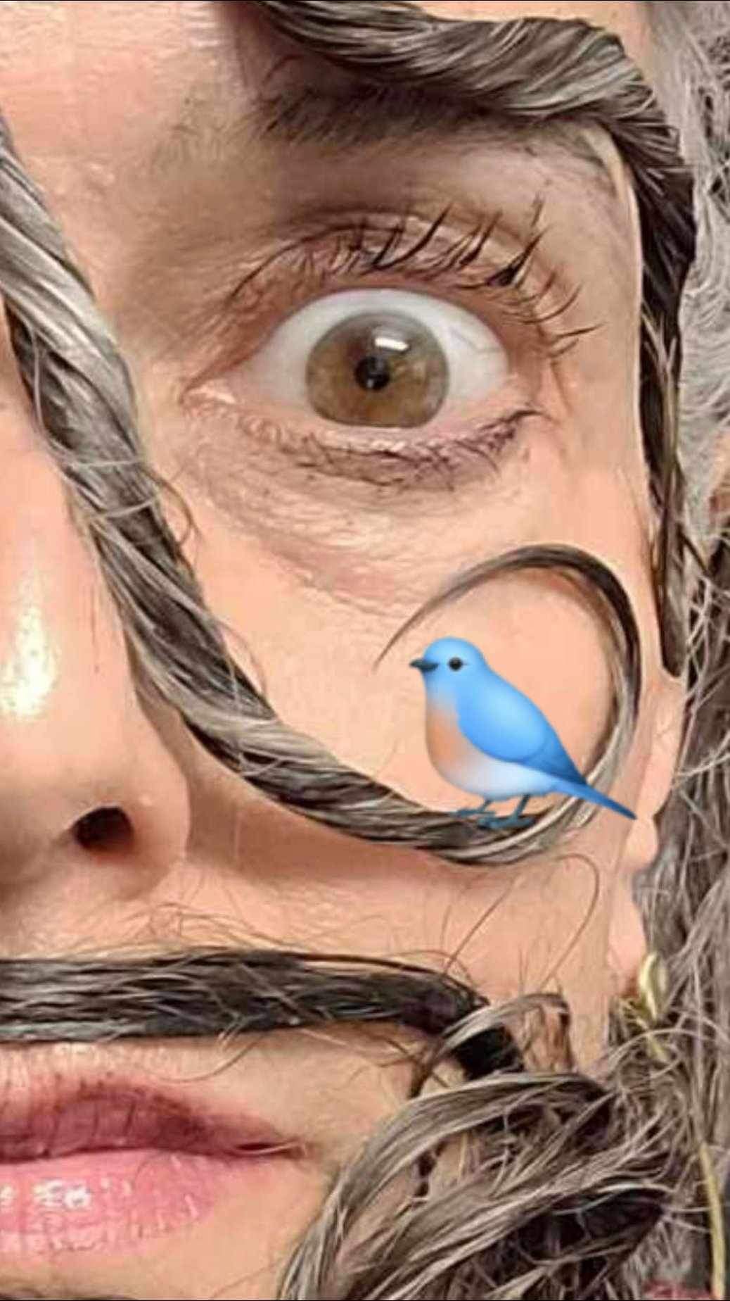 Facebook creation 32111580