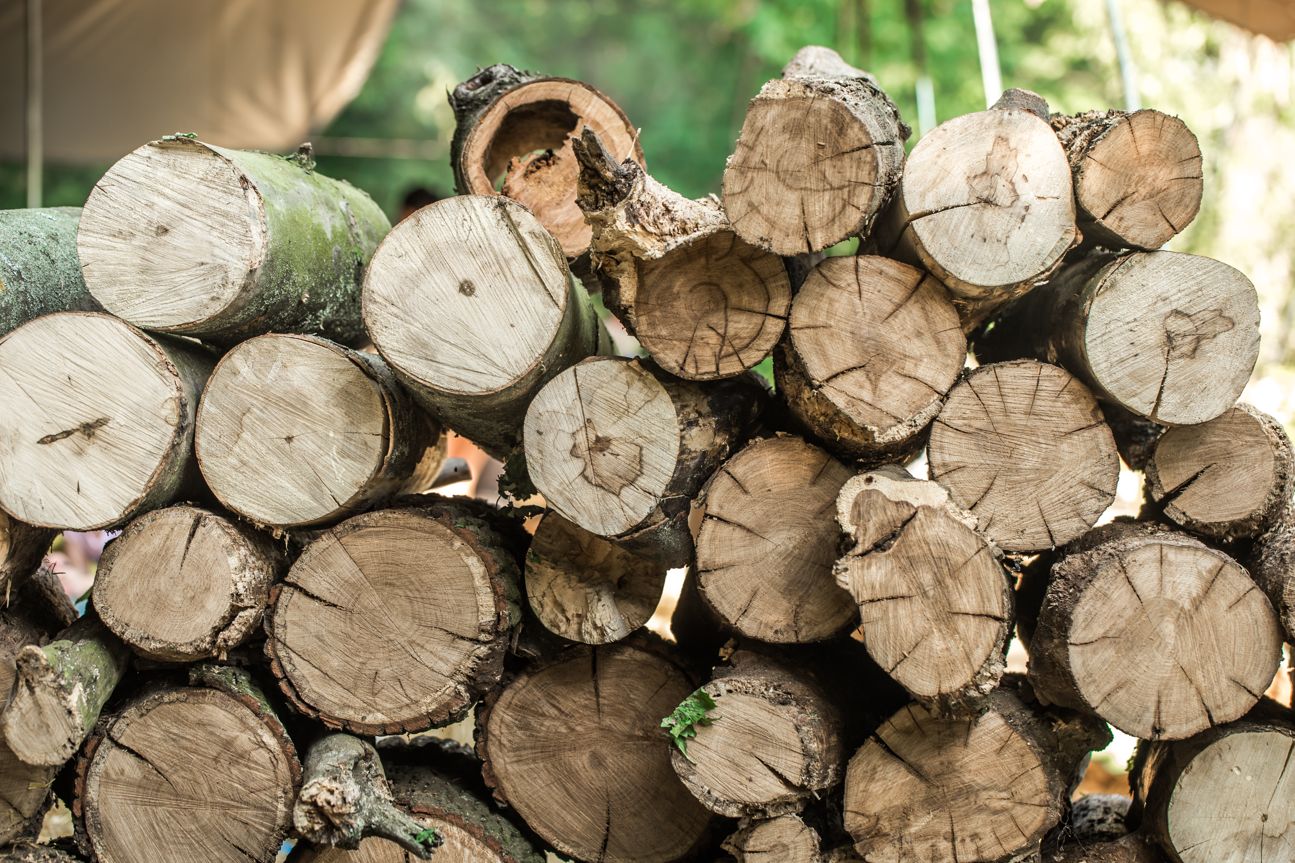 Deck-is-stacked-logs