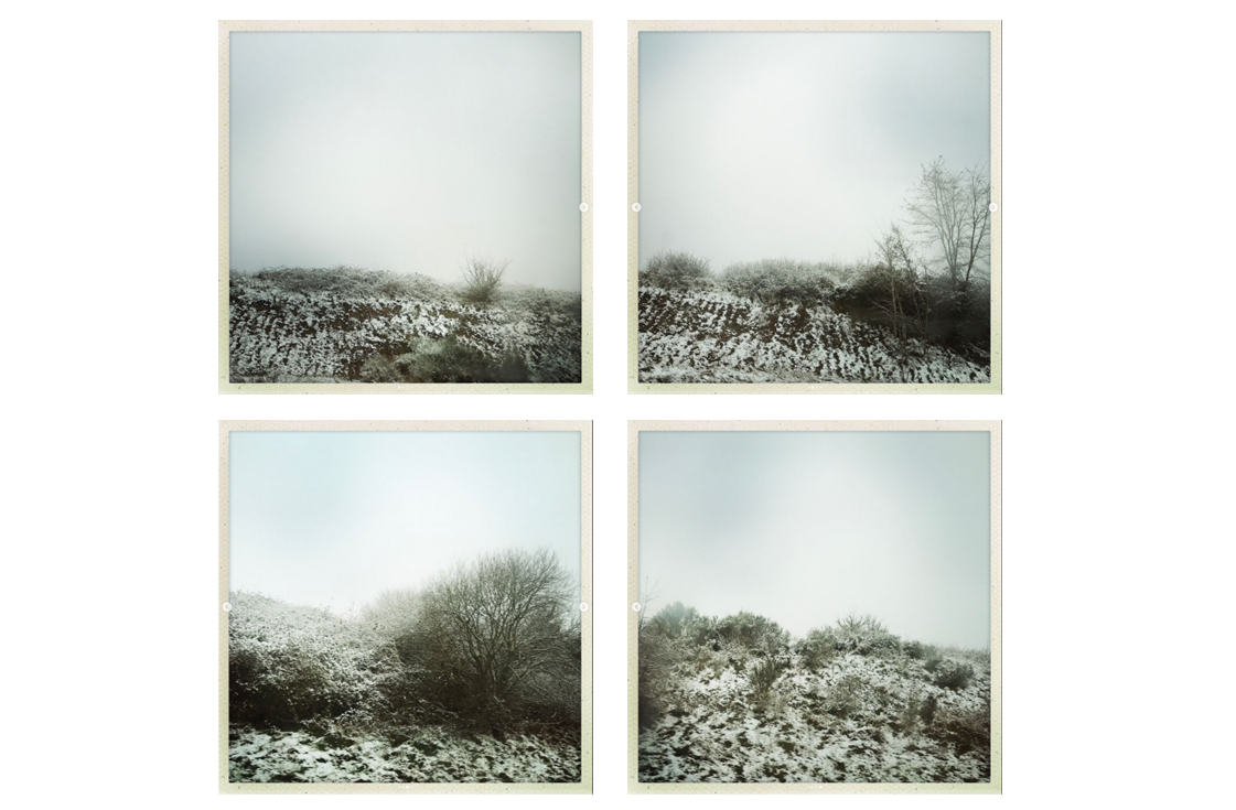 Image15