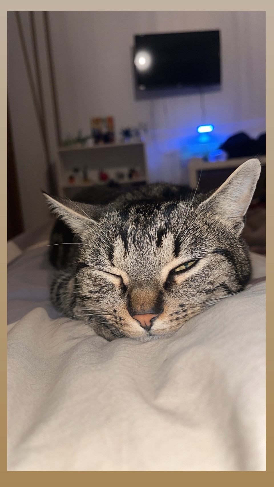 Chat1