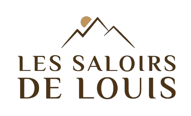 Logo SDL fond blanc  1 -removebg-preview