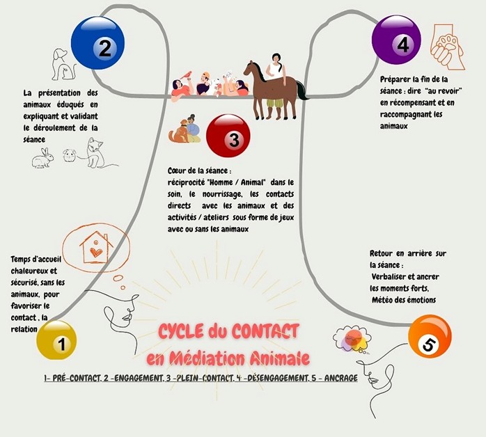 Cycle-contact