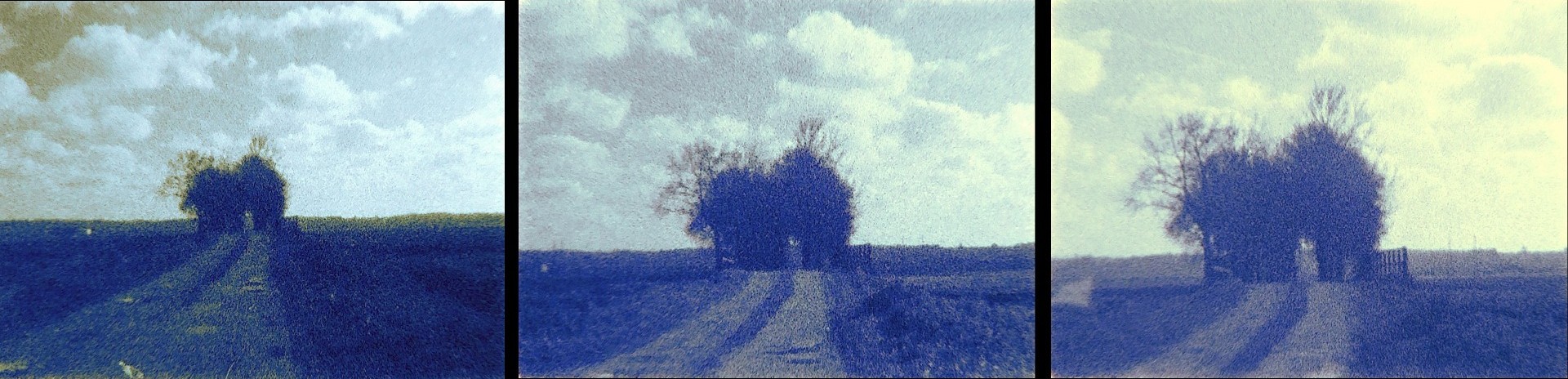 Oeil-corbeau-2-bis