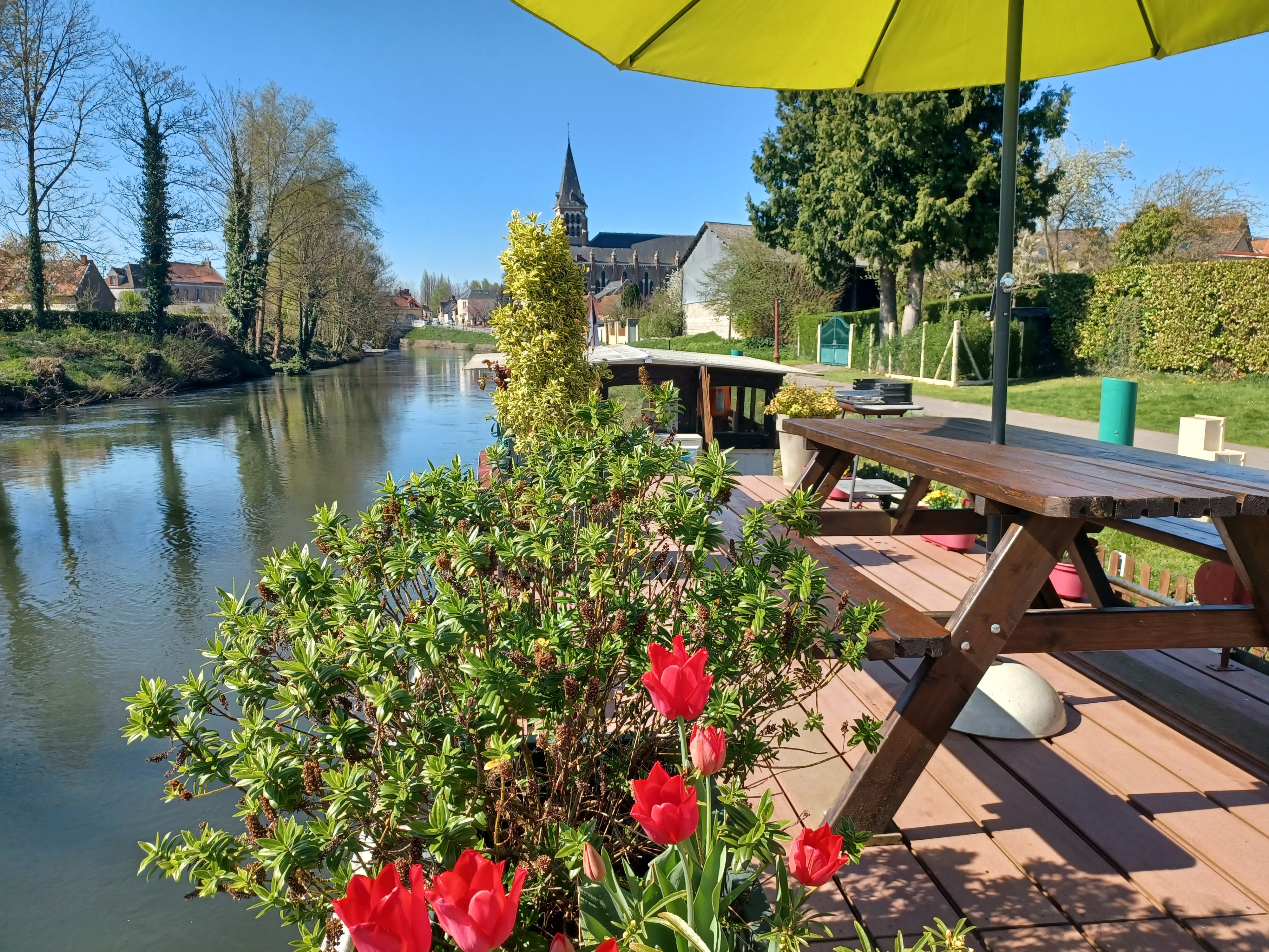 Table-tulipes