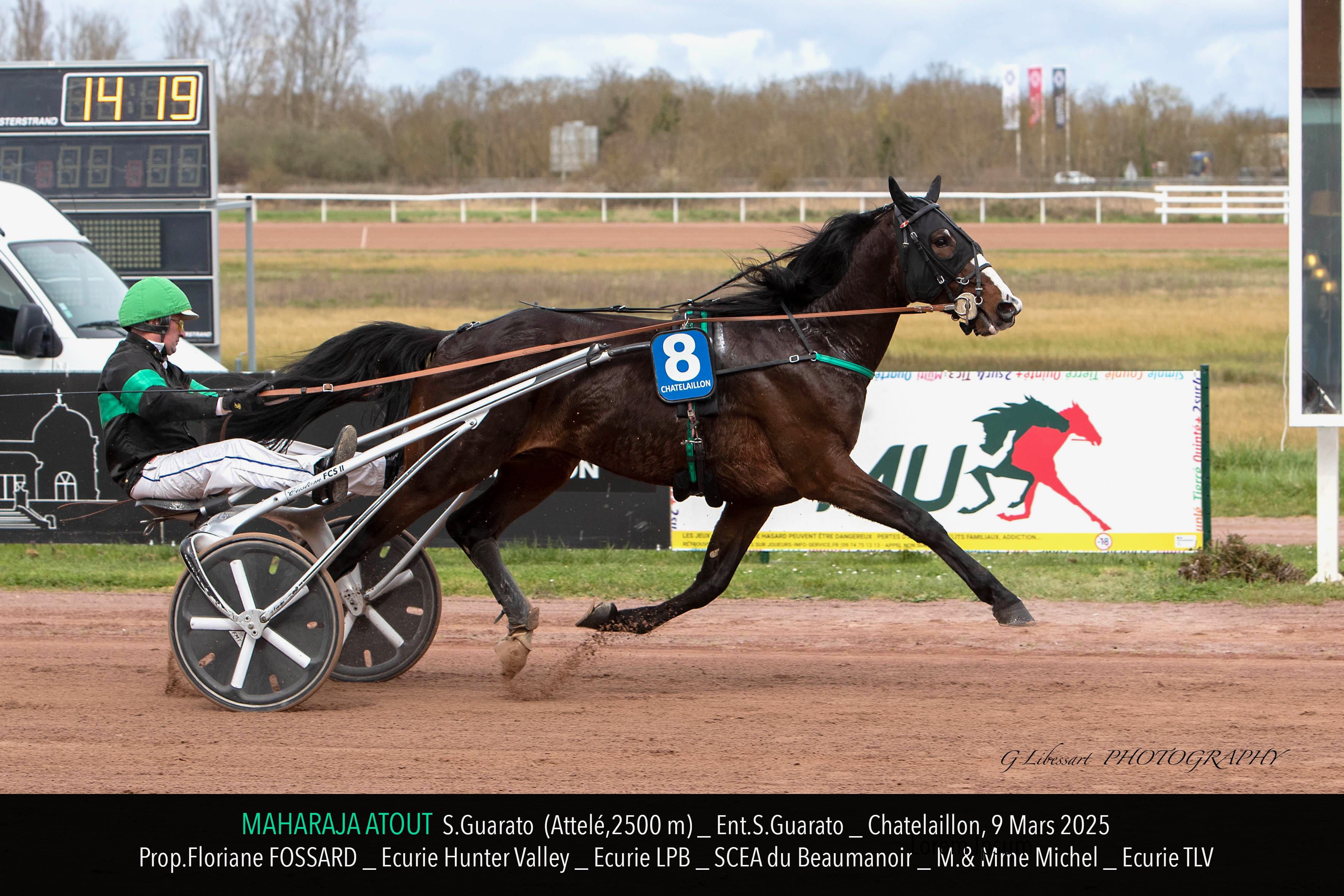 Maharaja Atout, débuts victorieux