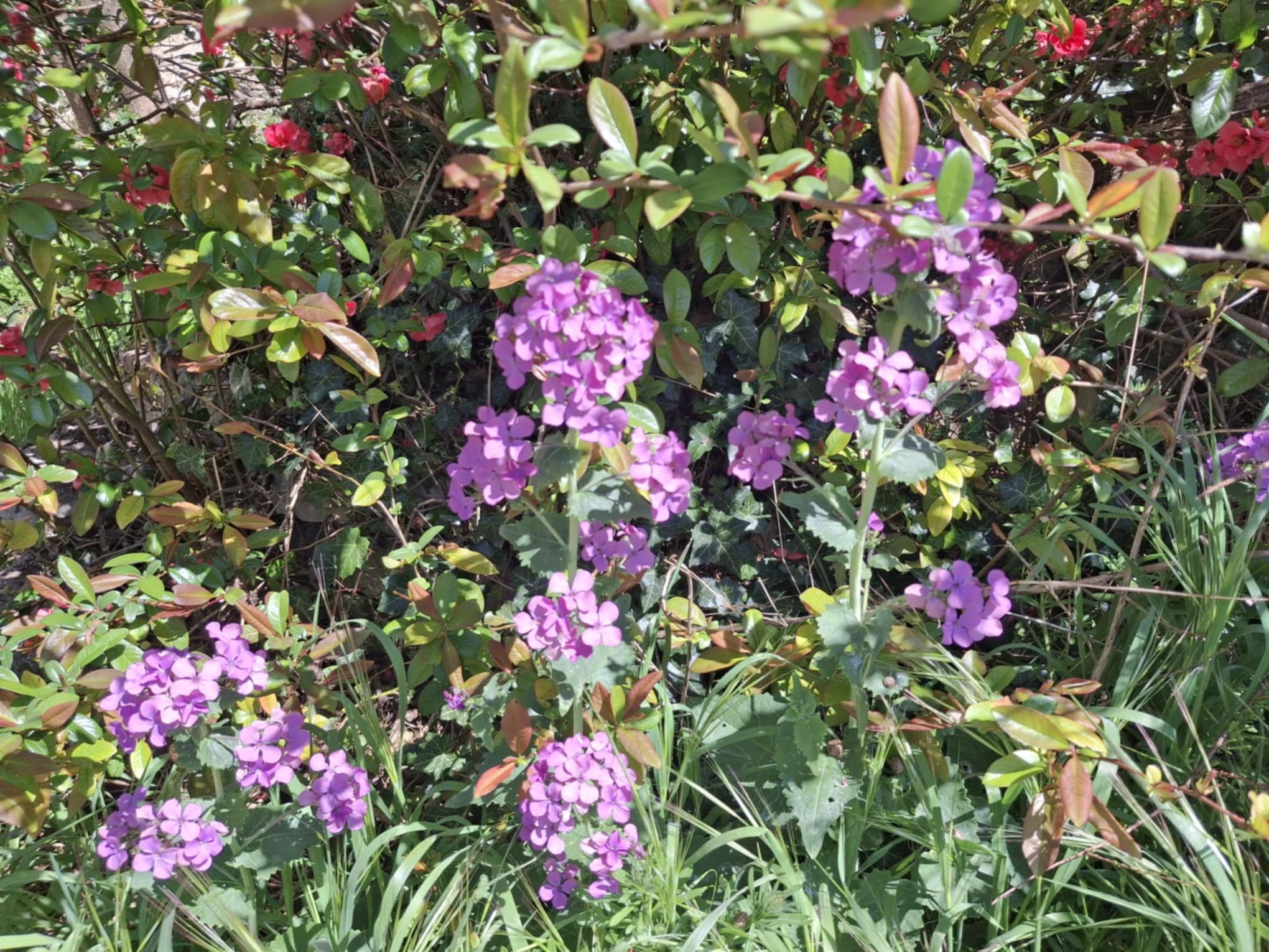 6 5 