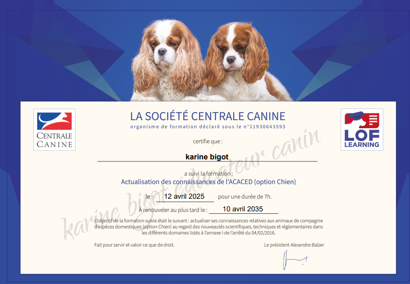 Actualisation-acaced-bigot-karine-2025