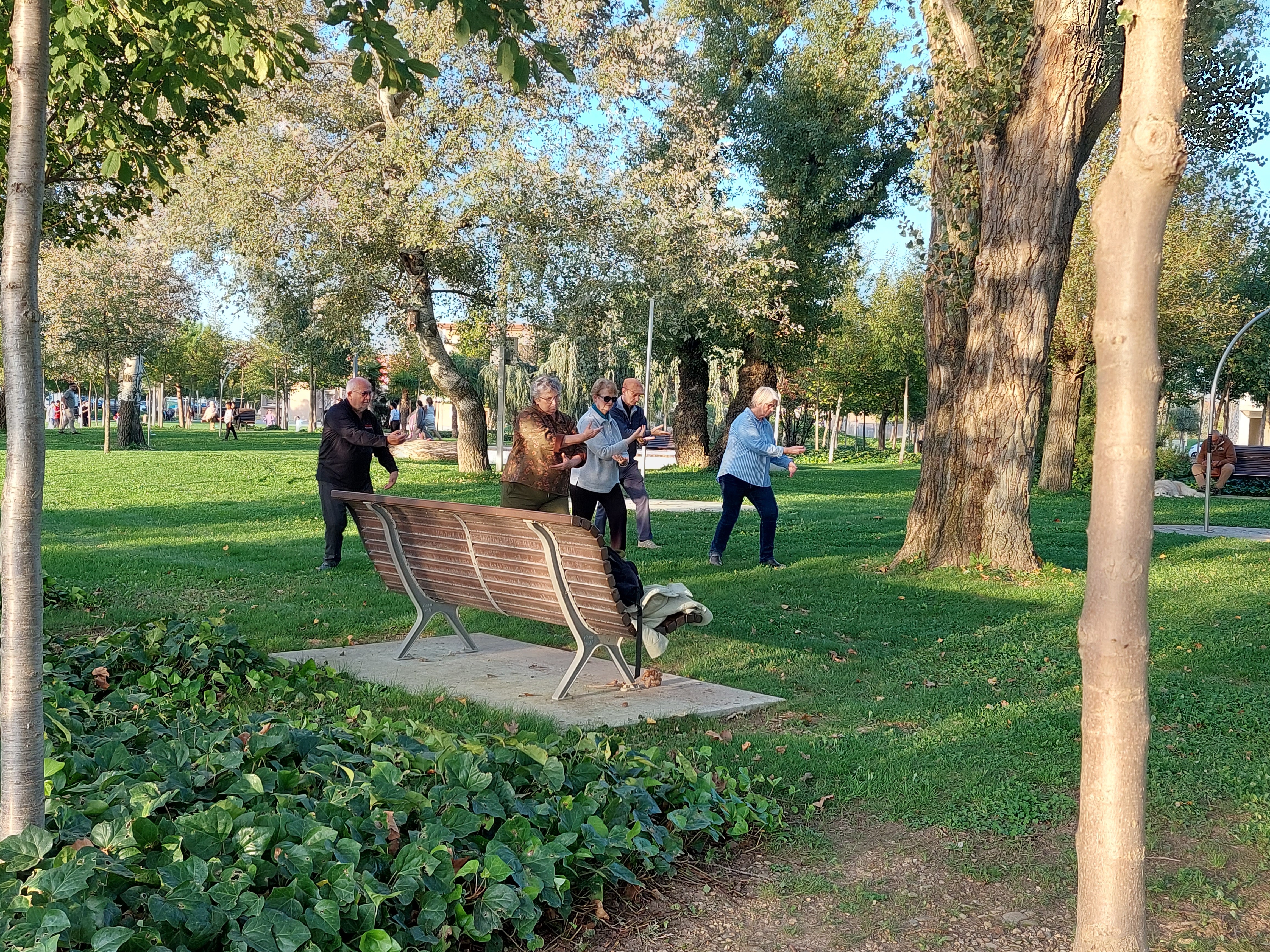 Tai Chi Bourg les valence Bois de Bambou