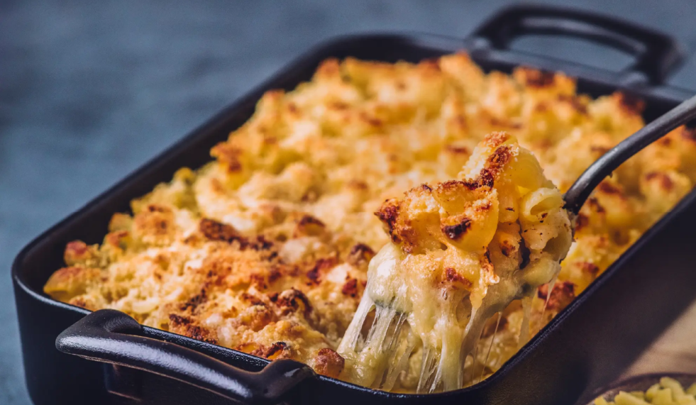 Gratin-cheddar