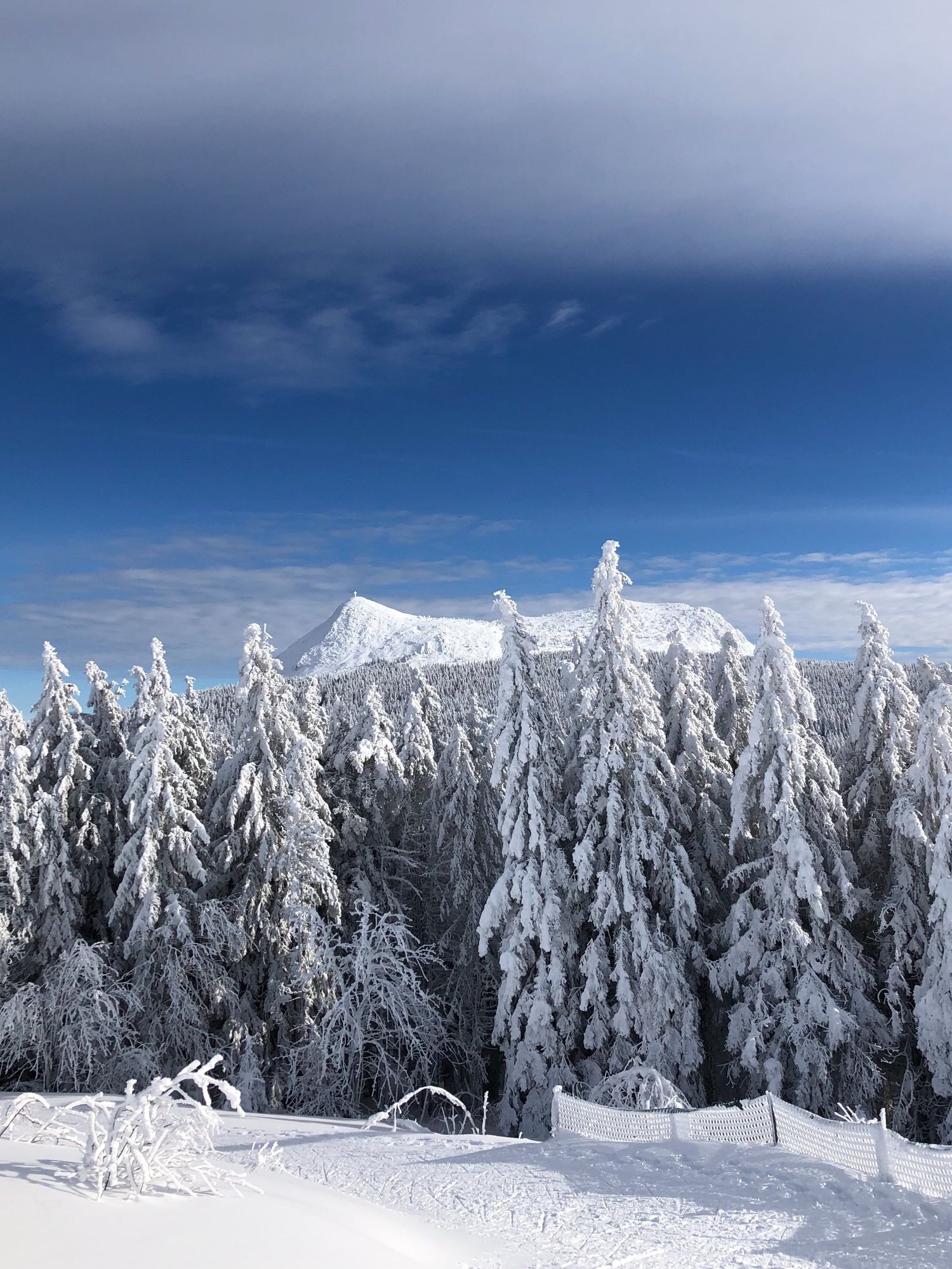 Mont-mezenc