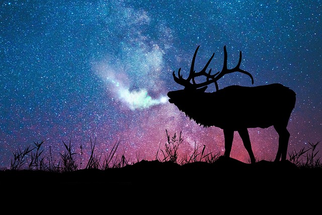Mes histoires cachées 